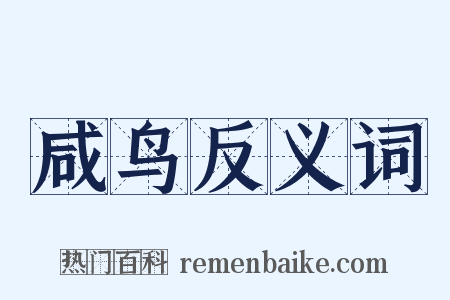 咸鸟反义词是什么意思的图片